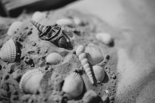 190625_Martin_Juliane_322